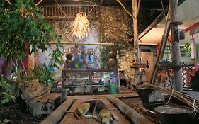 Bed And Breakfast Calle 213 Beta Life